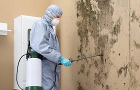  Parksdale, CA Mold Removal Services Pros